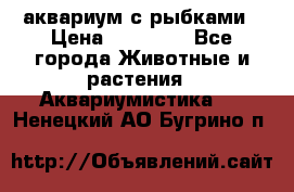 аквариум с рыбками › Цена ­ 15 000 - Все города Животные и растения » Аквариумистика   . Ненецкий АО,Бугрино п.